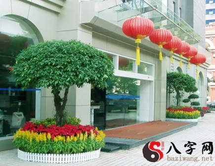 门前种什么树旺财运 门前种什么树旺财运